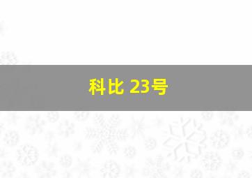 科比 23号